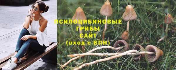 бутират Липки