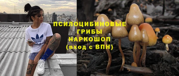 mdpv Магас