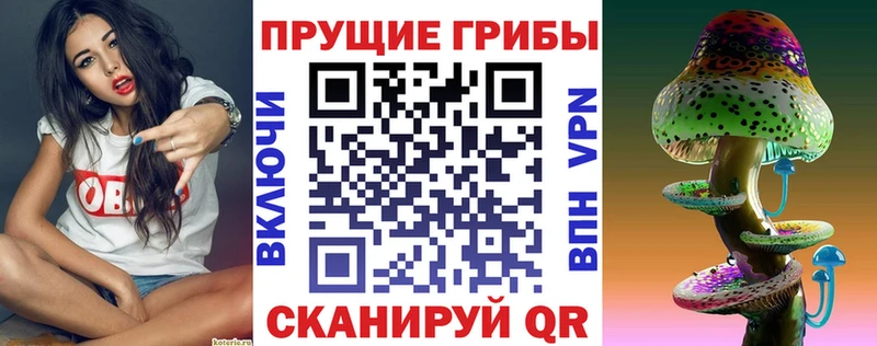 ОМГ ОМГ зеркало  Щигры  Псилоцибиновые грибы мицелий 