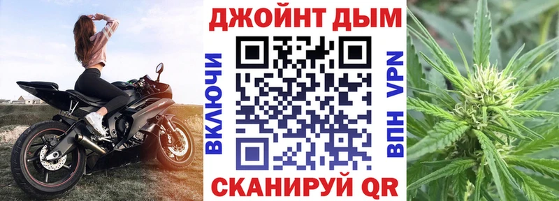 Конопля сатива  купить закладку  Щигры 